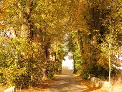 Bild zur gratis inserierten Ferienwohnung Ferienhaus-2093488.