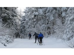 Bild zur gratis inserierten Ferienwohnung Ferienwohnung-2093527.