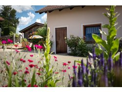 Ferienhaus Ferienhaus-2093533 in Waldmünchen - 5 Personen, Hund nicht erlaubt