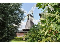 Ferienwohnung Ferienwohnung-2093828 in Osterbruch - 3 Personen, Hund erlaubt