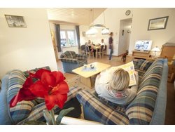 Bild zur gratis inserierten Ferienwohnung Ferienhaus-2093869.