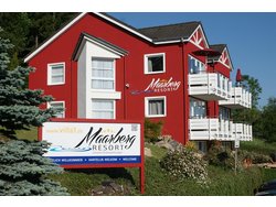 Ferienwohnung Ferienwohnung-2093948 in Schalkenmehren - 4 Personen, Hund erlaubt