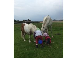 Ferienwohnung Ferienwohnung-2095395 in Stangheck - 4 Personen, Hund nicht erlaubt