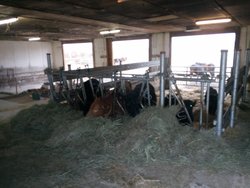 Ferienhaus Ferienhaus-2095468 in Gerolfingen - 5 Personen, Hund nicht erlaubt