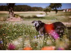 Bild zur gratis inserierten Ferienwohnung Ferienwohnung-2095513.