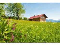 Bild zur gratis inserierten Ferienwohnung Ferienhaus-2096027.