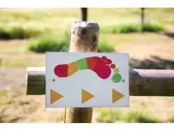 Ferienhaus Ferienhaus-2096500 in Thalfang - 4 Personen, Hund nicht erlaubt