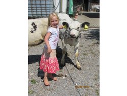 Bild zur gratis inserierten Ferienwohnung Ferienwohnung-2096671.