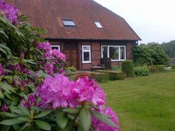 Ferienwohnung Ferienwohnung-2096976 in Bad Fallingbostel - 3 Personen, Hund erlaubt