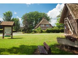 Ferienhaus Ferienhaus-2097010 in Bispingen - 4 Personen, Hund erlaubt