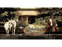 Ferienwohnung Ferienwohnung-2097053 in Dedelstorf - 5 Personen, Hund erlaubt