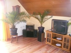 Ferienwohnung Ferienwohnung-2097091 in Gifhorn - 6 Personen, Hund nicht erlaubt