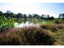 Bild zur gratis inserierten Ferienwohnung Ferienwohnung-2097304.