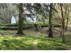 Ferienwohnung Ferienwohnung-2097338 in Unterlüß - 3 Personen, Hund erlaubt