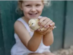 Bild zur gratis inserierten Ferienwohnung Ferienhaus-2097470.