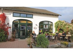 Ferienwohnung Ferienwohnung-2097516 in Eckfeld - 4 Personen, Hund erlaubt