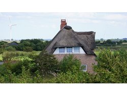 Bild zur gratis inserierten Ferienwohnung Ferienwohnung-2098078.