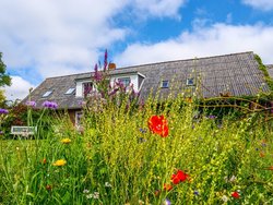 Bild zur gratis inserierten Ferienwohnung Ferienwohnung-2098096.