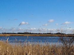 Bild zur gratis inserierten Ferienwohnung Ferienwohnung-2098117.