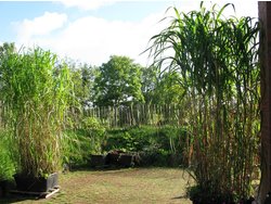 Ferienwohnung Ferienwohnung-2098189 in Hattstedtermarsch - 4 Personen, Hund erlaubt