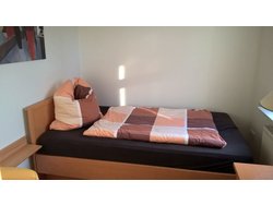 Bild zur gratis inserierten Ferienwohnung Ferienwohnung-2098198.