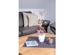 Bild zur gratis inserierten Ferienwohnung Ferienwohnung-2098236.