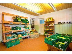 Ferienhaus Ferienhaus-2098388 in Langenhorn - 6 Personen, Hund erlaubt