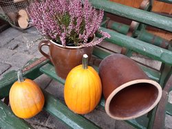 Ferienwohnung Ferienwohnung-2098740 in Kammerforst - 2 Personen, Hund nicht erlaubt