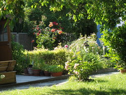 Ferienwohnung Ferienwohnung-2098750 in Mühlhausen (Unstrut-Hainich-Kreis) - 6 Personen, Hund nicht erlaubt