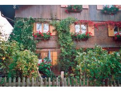 Bild zur gratis inserierten Ferienwohnung Ferienwohnung-2098939.