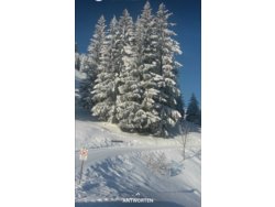 Bild zur gratis inserierten Ferienwohnung Ferienwohnung-2099340.