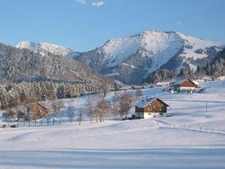 Bild zur gratis inserierten Ferienwohnung Ferienwohnung-2099395.