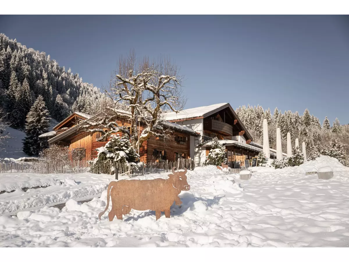 Bild-1