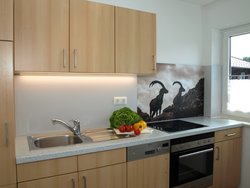 Bild zur gratis inserierten Ferienwohnung Ferienwohnung-2099613.