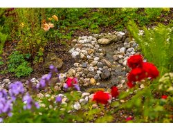 Bild zur gratis inserierten Ferienwohnung Ferienwohnung-2099707.