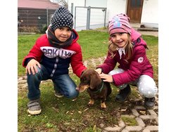 Ferienwohnung Ferienwohnung-2099713 in Neunburg vorm Wald - 4 Personen, Hund erlaubt