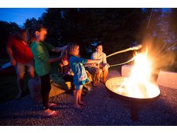 Ferienwohnung Ferienwohnung-2099768 in Schwarzach b.Nabburg - 4 Personen, Hund erlaubt