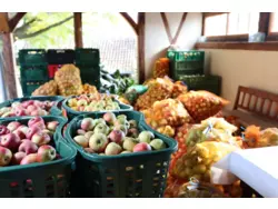 Ferienwohnung Ferienwohnung-2099836 in Gumperda - 3 Personen, Hund nicht erlaubt