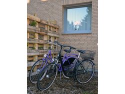 Bild zur gratis inserierten Ferienwohnung Ferienwohnung-2099975.