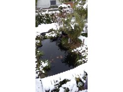 Bild zur gratis inserierten Ferienwohnung Ferienwohnung-2100003.