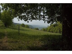 Ferienwohnung Ferienwohnung-2100418 in Pentling - 2 Personen, Hund nicht erlaubt