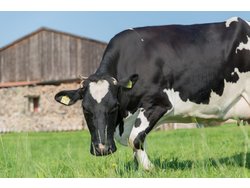 Bild zur gratis inserierten Ferienwohnung Ferienwohnung-2100582.