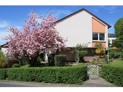 Ferienwohnung Ferienwohnung-2100763 in Hilders - 2 Personen, Hund nicht erlaubt