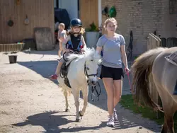 Bild zur gratis inserierten Ferienwohnung Ferienwohnung-2101295.