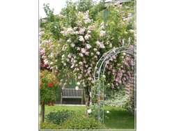 Ferienwohnung Ferienwohnung-2101369 in Erfde - 4 Personen, Hund nicht erlaubt