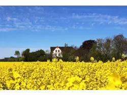 Bild zur gratis inserierten Ferienwohnung Ferienwohnung-2101443.