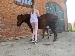 Bild zur gratis inserierten Ferienwohnung Ferienwohnung-2101714.