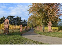 Ferienwohnung Ferienwohnung-2101774 in Külsheim - 2 Personen, Hund nicht erlaubt