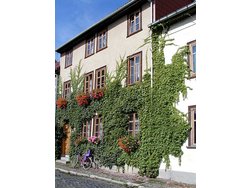 Ferienwohnung Ferienwohnung-2101823 in Arnstadt - 2 Personen, Hund nicht erlaubt