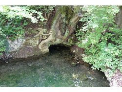 Ferienwohnung Ferienwohnung-2102345 in Weimar (Thüringen) - 4 Personen, Hund nicht erlaubt